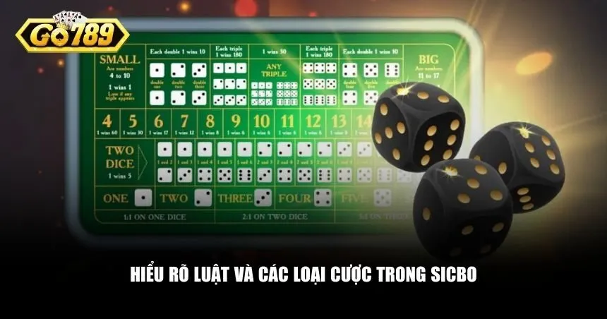 Trước khi tìm hiểu chiến thuật chơi Sicbo, bạn cần nắm chắc luật và các loại cược
